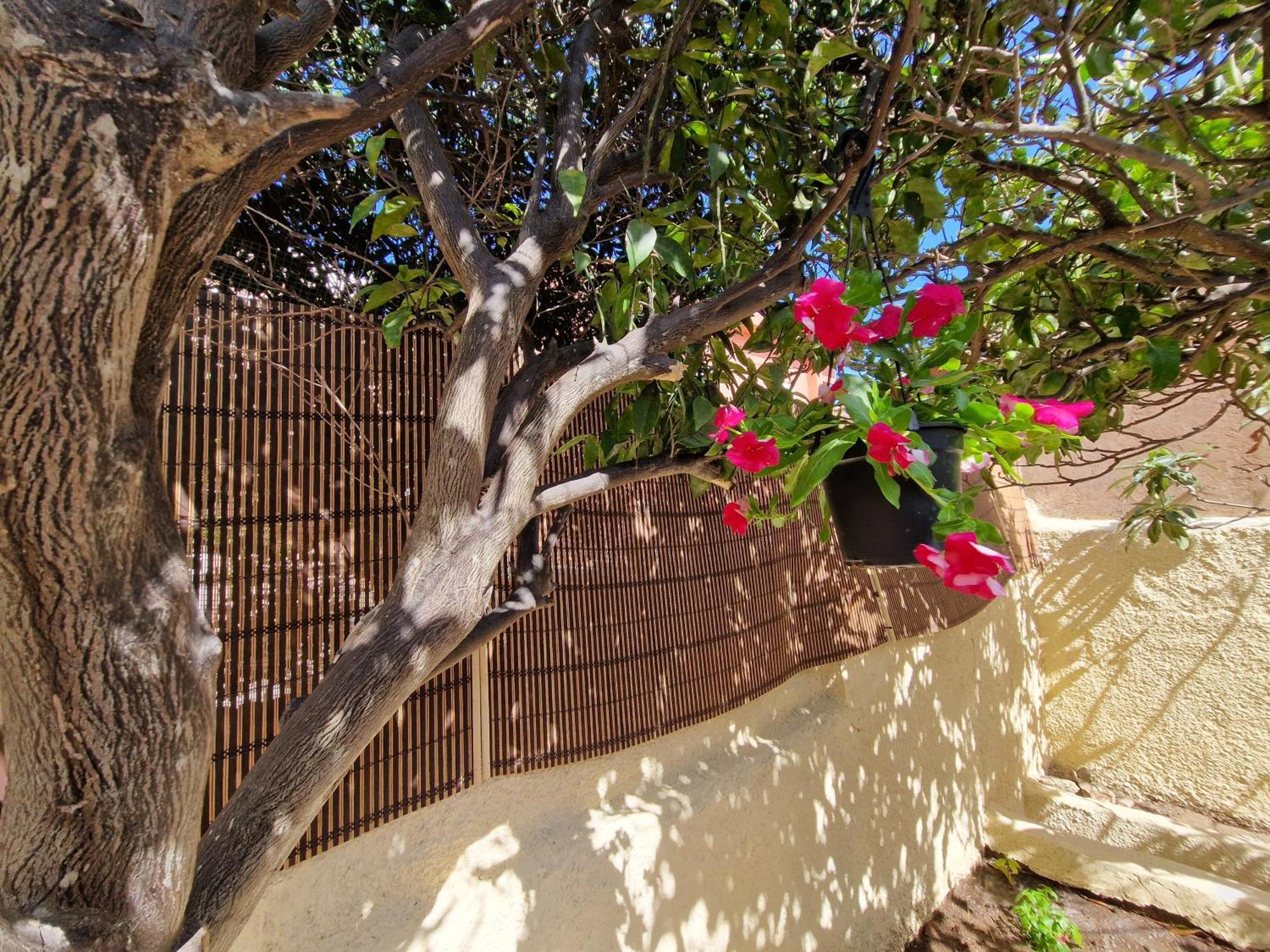 La Maddalena Holiday Home Екстер'єр фото